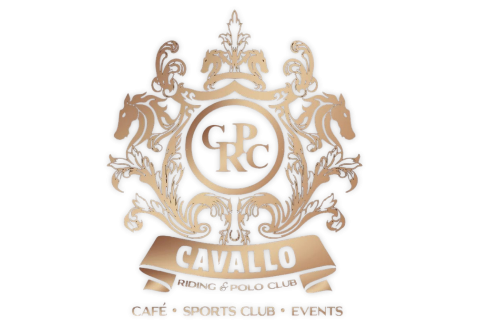 Cavallo Polo