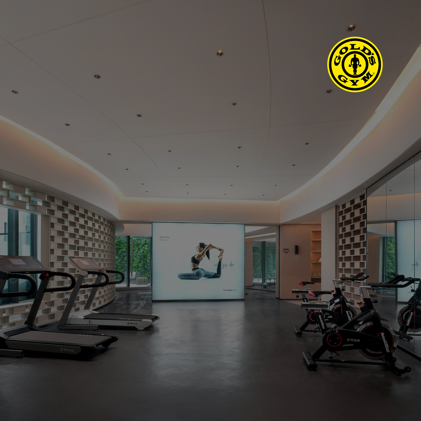 Fitness Industry