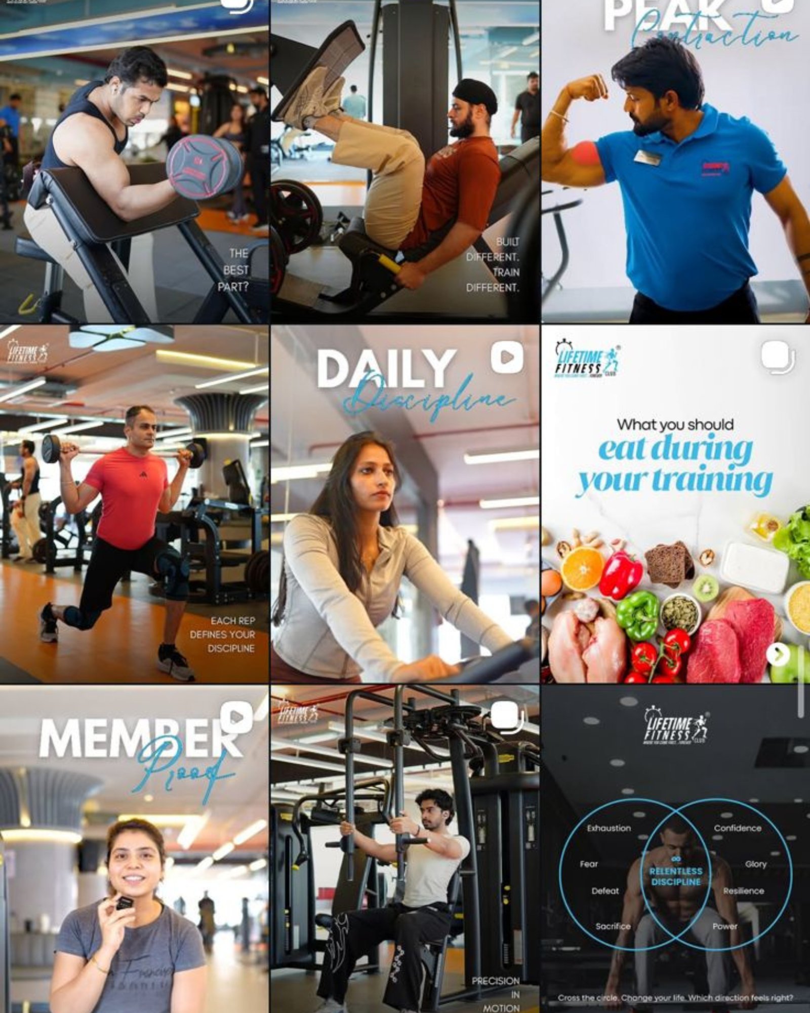 Fitlife Grid Layout